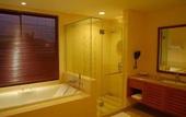 Туры в отель The Natsepa Resort & Conference Center