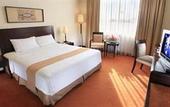 Туры в отель Swiss-Belhotel Papua