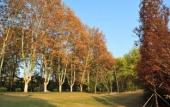 Туры в отель Holiday Inn Resort CHAOHU HOT SPRING by IHG
