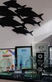 Туры в отель Sapphire Waters Motor Inn