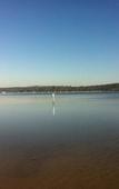 Туры в отель Sapphire Waters Motor Inn
