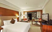 Туры в отель Palace Hotels (Chongqing Nanbin Road Holy Land Hot Spring Branch)