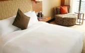 Туры в отель Palace Hotels (Chongqing Nanbin Road Holy Land Hot Spring Branch)