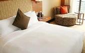 Туры в отель Palace Hotels (Chongqing Nanbin Road Holy Land Hot Spring Branch)