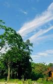 Туры в отель Khaosok Rainforest Resort