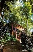 Туры в отель Khaosok Rainforest Resort