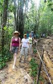 Туры в отель Khaosok Rainforest Resort