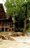Туры в отель Khaosok Rainforest Resort