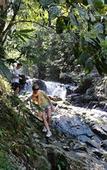 Туры в отель Khaosok Rainforest Resort