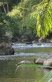Туры в отель Khaosok Rainforest Resort