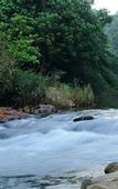 Туры в отель Khaosok Rainforest Resort