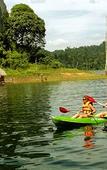 Туры в отель Khaosok Rainforest Resort