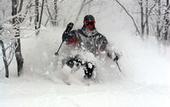Туры в отель Hakuba Mominoki Hotel