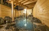Туры в отель Hakuba Mominoki Hotel