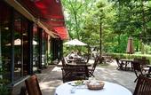 Туры в отель Hakuba Mominoki Hotel