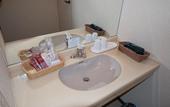 Туры в отель Hakuba Mominoki Hotel