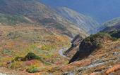 Туры в отель Hakuba Mominoki Hotel