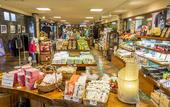 Туры в отель Hakuba Mominoki Hotel