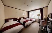 Туры в отель Hakuba Mominoki Hotel