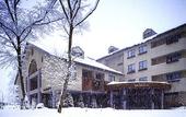 Туры в отель Hakuba Mominoki Hotel