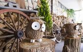 Туры в отель Hakuba Mominoki Hotel