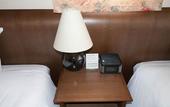 Туры в отель Hakuba Mominoki Hotel