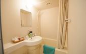 Туры в отель Hakuba Mominoki Hotel