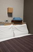 Туры в отель Hotel Route - Inn Tokyo Asagaya