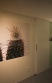 Туры в отель Hotel WBF Art Stay Naha Kokusai-dori