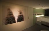 Туры в отель Hotel WBF Art Stay Naha Kokusai-dori