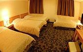 Туры в отель Nansei Kanko Hotel