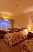 Туры в отель ANA Crowne Plaza Hamamatsu by IHG