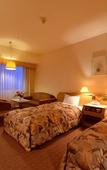 Туры в отель ANA Crowne Plaza Hamamatsu by IHG