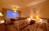 Туры в отель ANA Crowne Plaza Hamamatsu by IHG