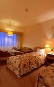 Туры в отель ANA Crowne Plaza Hamamatsu by IHG