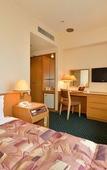 Туры в отель ANA Crowne Plaza Hamamatsu by IHG