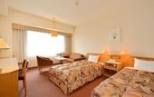 Туры в отель ANA Crowne Plaza Hamamatsu by IHG