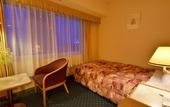 Туры в отель ANA Crowne Plaza Hamamatsu by IHG