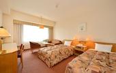 Туры в отель ANA Crowne Plaza Hamamatsu by IHG