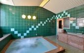 Туры в отель ANA Crowne Plaza Hamamatsu by IHG