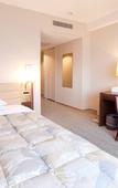 Туры в отель Hotel Grand Terrace Toyama