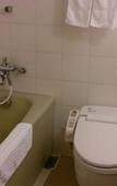 Туры в отель Hotel Grand Terrace Toyama