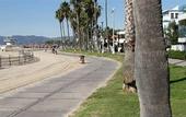 Туры в отель Venice on the Beach Hotel