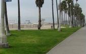 Туры в отель Venice on the Beach Hotel