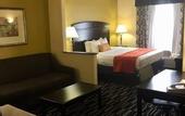 Туры в отель Best Western Plus Barsana Hotel & Suites