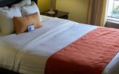 Туры в отель Best Western Plus Barsana Hotel & Suites