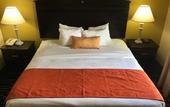 Туры в отель Best Western Plus Barsana Hotel & Suites