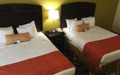 Туры в отель Best Western Plus Barsana Hotel & Suites