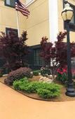 Туры в отель Best Western Plus Barsana Hotel & Suites