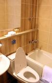 Туры в отель Holiday Inn Alpensia Pyeongchang Suites